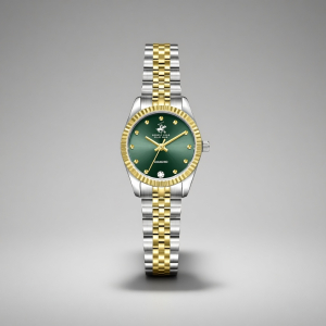 Наручные часы Beverly Hills Polo Club BP3923C.270
