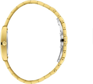 Наручные часы Slazenger SL.09.2505.3.02