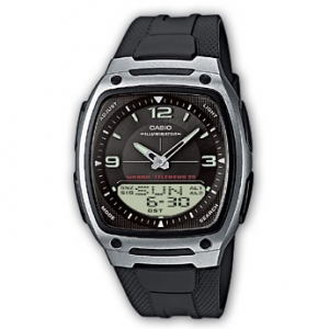 Наручные часы Casio AW-81-1A1
