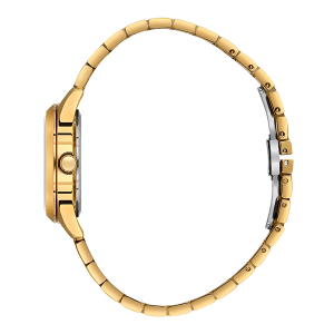 Наручные часы Slazenger SL.09.2465.3.04