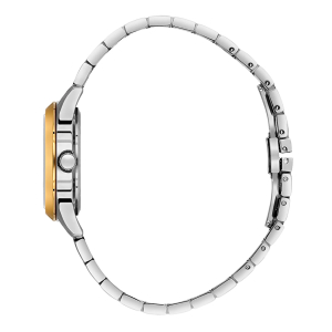 Наручные часы Slazenger SL.09.2465.3.05