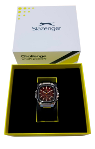 Наручные часы Slazenger SL.09.2643.2.381