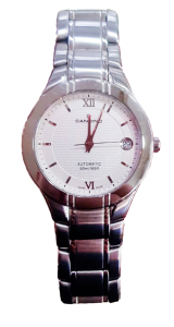 Наручные часы Candino C4238